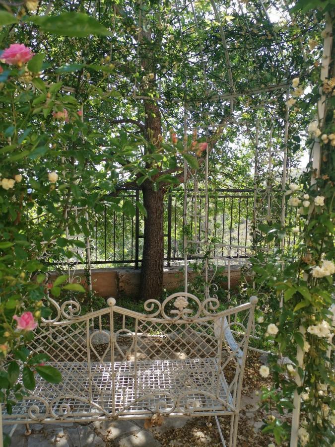 Villa Diamond Žrnovnica Dış mekan fotoğraf